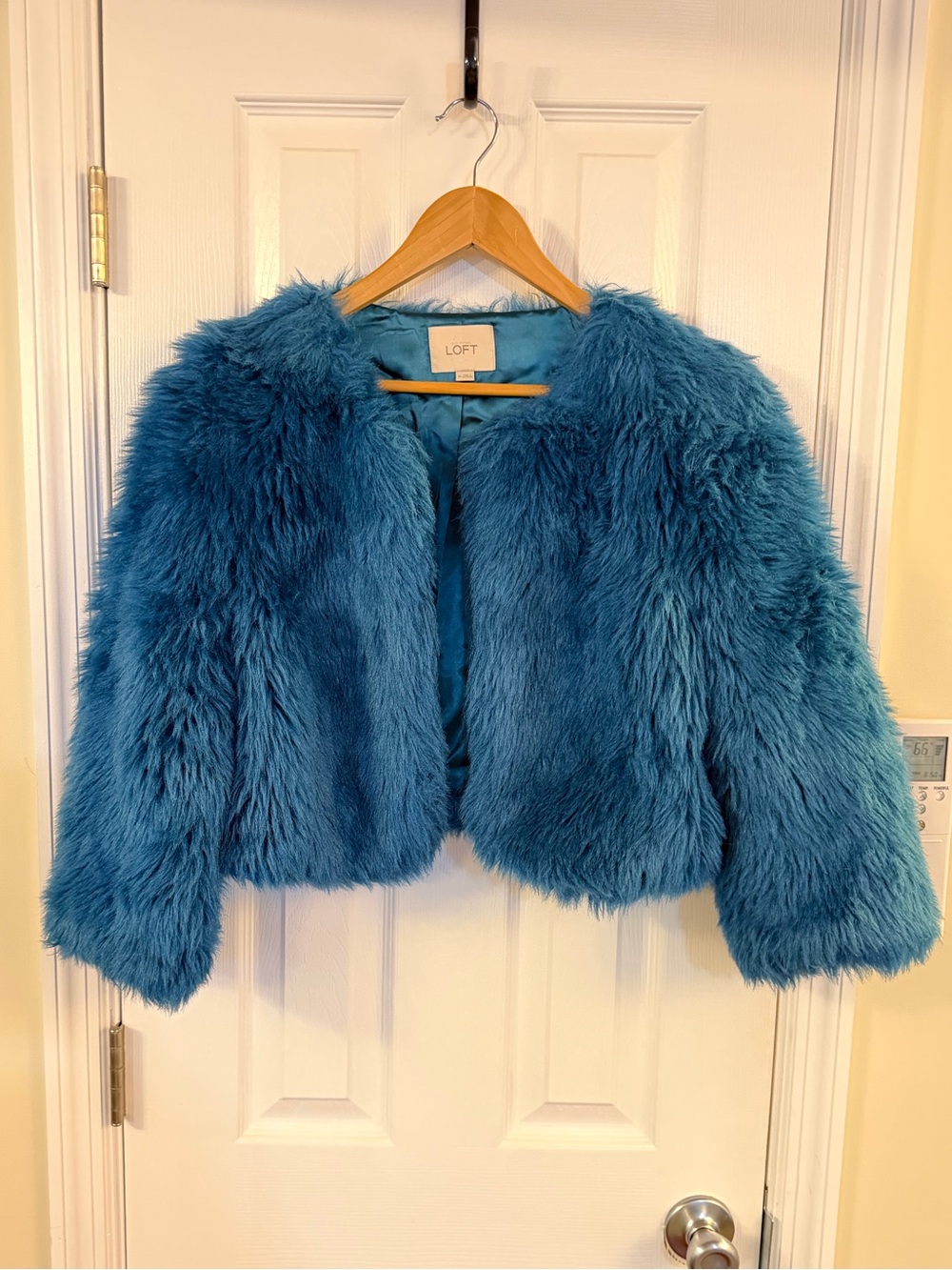 LOFT Teal Faux Fur Cropped Jacket Coat Shaggy Plush Size M
